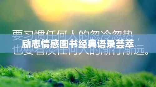 励志情感图书经典语录荟萃