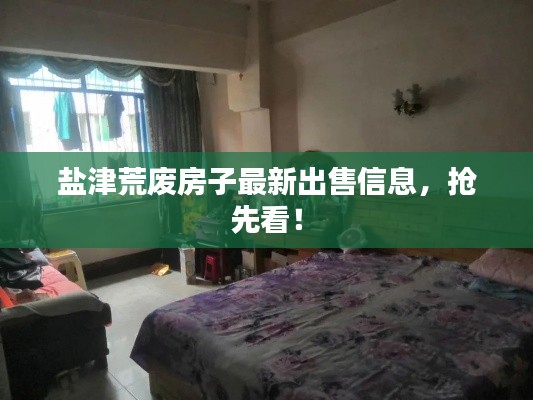 盐津荒废房子最新出售信息,抢先看!