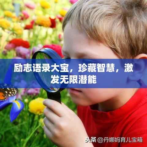 励志语录大宝,珍藏智慧,激发无限潜能