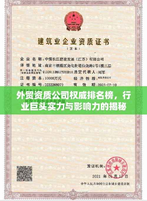 外贸资质公司权威排名榜,行业巨头实力与影响力的揭秘