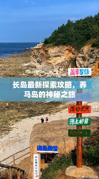 长岛最新探索攻略,养马岛的神秘之旅