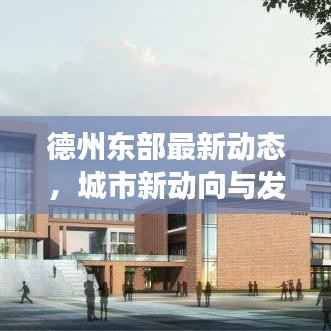 德州东部最新动态,城市新动向与发展热点聚焦