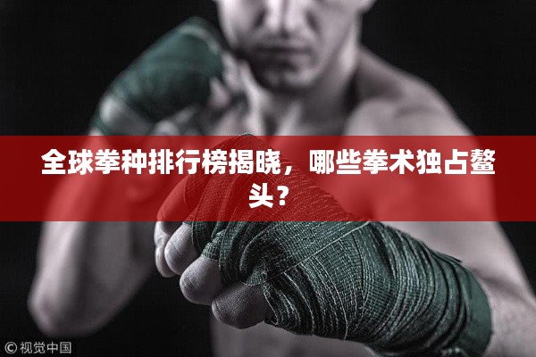 全球拳种排行榜揭晓,哪些拳术独占鳌头?