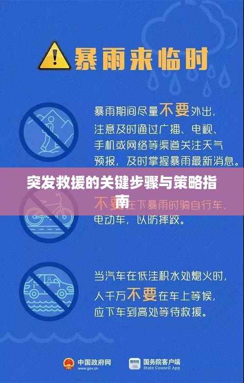 突发救援的关键步骤与策略指南