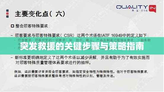 突发救援的关键步骤与策略指南