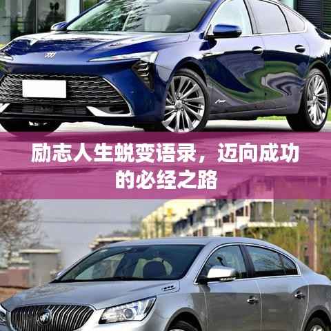 励志人生蜕变语录,迈向成功的必经之路