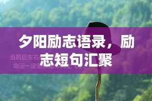 夕阳励志语录,励志短句汇聚