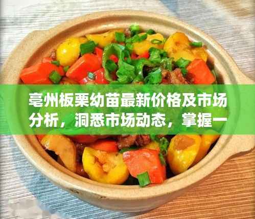 亳州板栗幼苗最新价格及市场分析,洞悉市场动态,掌握一手资讯!