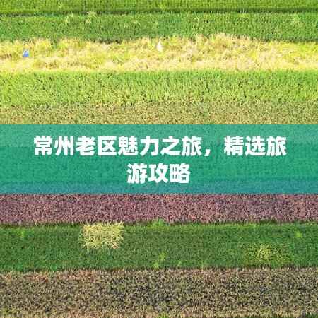 常州老区魅力之旅，精选旅游攻略