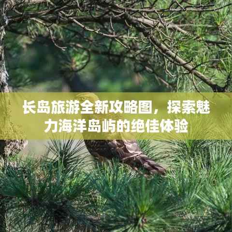 长岛旅游全新攻略图,探索魅力海洋岛屿的绝佳体验