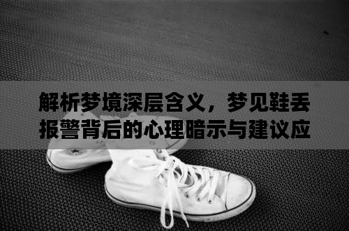 解析梦境深层含义,梦见鞋丢报警背后的心理暗示与建议应对方法