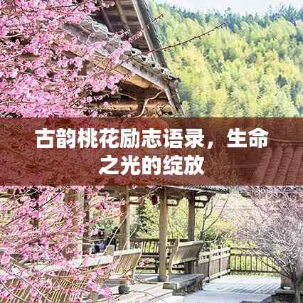 古韵桃花励志语录，生命之光的绽放