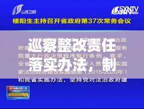 巡察整改责任落实办法,制度深化,监督执行的新路径