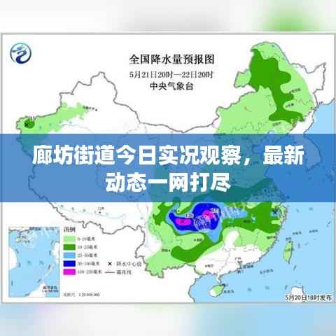 廊坊街道今日实况观察,最新动态一网打尽