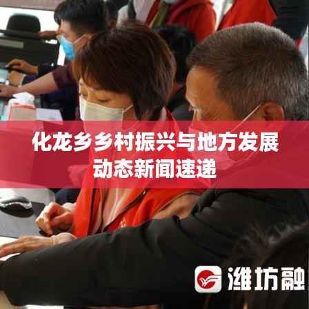 化龙乡乡村振兴与地方发展动态新闻速递