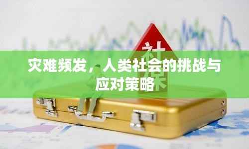 灾难频发,人类社会的挑战与应对策略