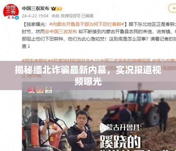 揭秘缅北诈骗最新内幕,实况报道视频曝光