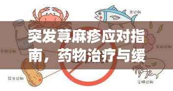 突发荨麻疹应对指南，药物治疗与缓解策略