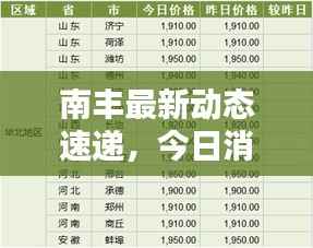 南丰最新动态速递,今日消息一网打尽!