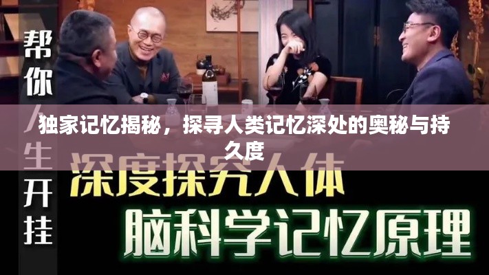 独家记忆揭秘,探寻人类记忆深处的奥秘与持久度