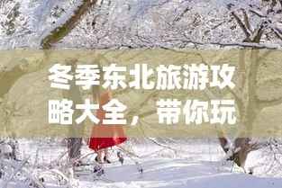 冬季东北旅游攻略大全,带你玩转冰雪奇缘!