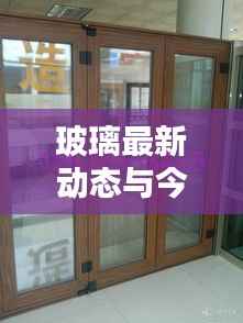 玻璃最新动态与今日价格概览