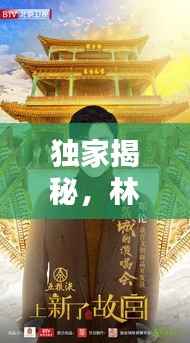 独家揭秘,林妹妹的世界探秘