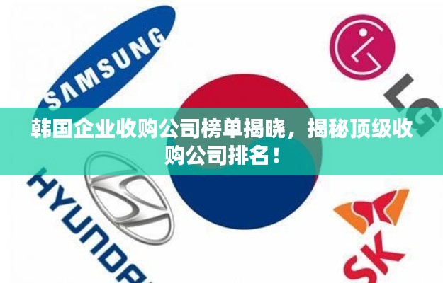韩国企业收购公司榜单揭晓,揭秘顶级收购公司排名!