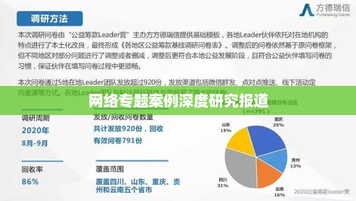 网络专题案例深度研究报道