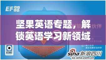 坚果英语专题,解锁英语学习新领域,探索无限可能!