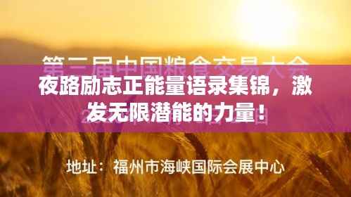 夜路励志正能量语录集锦,激发无限潜能的力量!