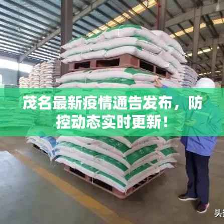 茂名最新疫情通告发布，防控动态实时更新！
