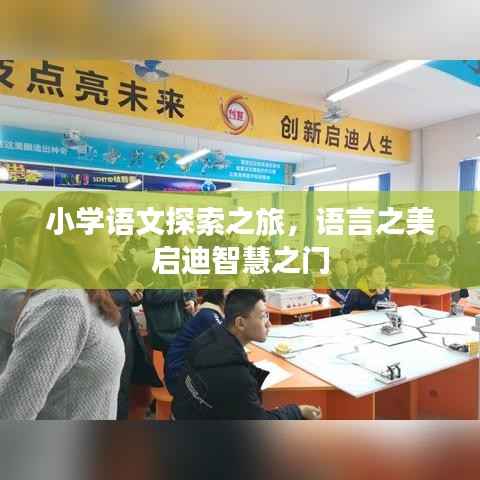 小学语文探索之旅,语言之美启迪智慧之门