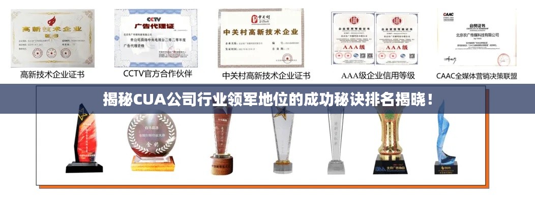揭秘CUA公司行业领军地位的成功秘诀排名揭晓!