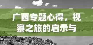 广西专题心得,视察之旅的启示与深度思考
