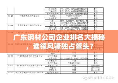 广东钢材公司企业排名大揭秘,谁领风骚独占鳌头?