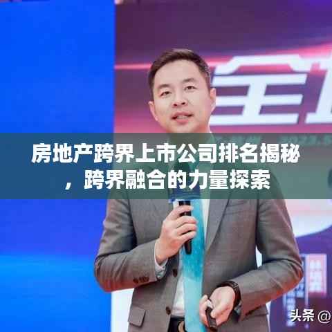 房地产跨界上市公司排名揭秘,跨界融合的力量探索