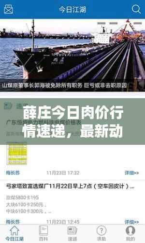 薛庄今日肉价行情速递,最新动态一网打尽!