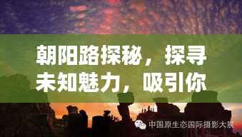 朝阳路探秘，探寻未知魅力，吸引你的目光！