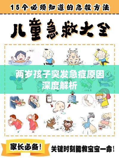 两岁孩子突发急症原因深度解析