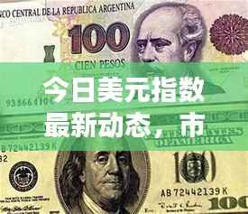 今日美元指数最新动态,市场走势深度分析与预测
