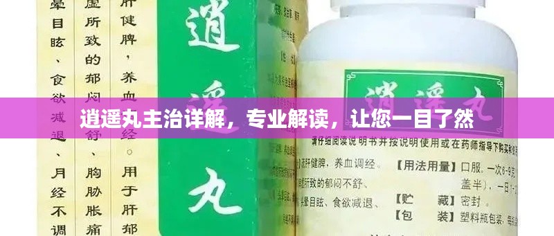 逍遥丸主治详解,专业解读,让您一目了然