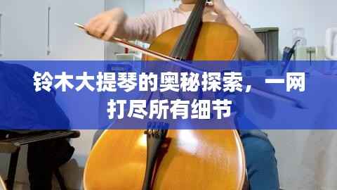 铃木大提琴的奥秘探索,一网打尽所有细节