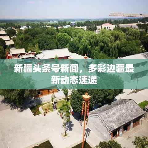 新疆头条号新闻,多彩边疆最新动态速递